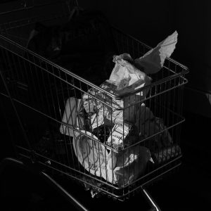 Photo "Simple steps to buy your groceries from Tawfeernl"