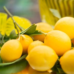 Photo Fresh fruits