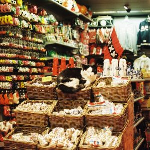 Photo Eastern products
