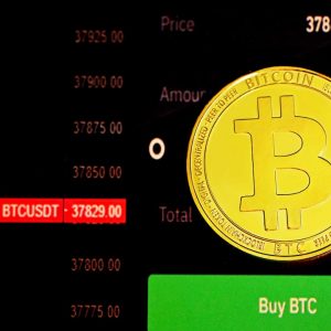 Photo Price comparison