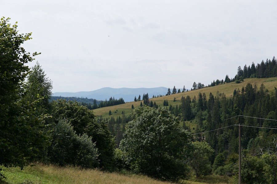 Photo Tawfeernl