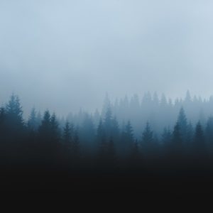 Photo Tawfeernl